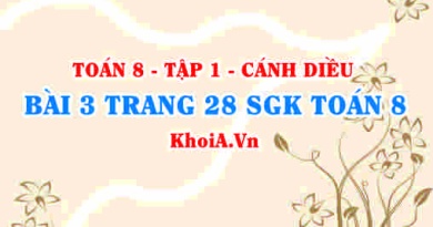 Bài 3 trang 28 SGK Toán 8 tập 1 Cánh Diều